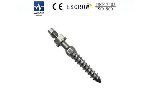Parafuso vertebral (Parafuso torácico)