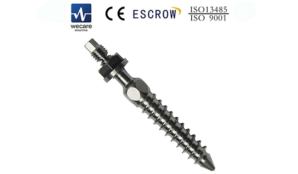 Parafuso vertebral (Parafuso toracolombar)